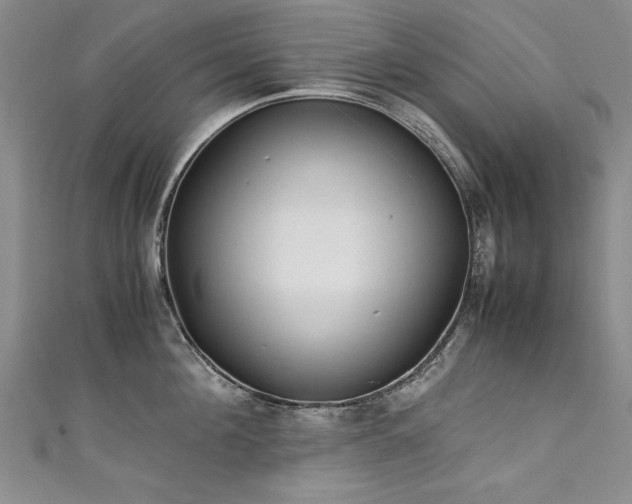 X0000111430908200907131220
