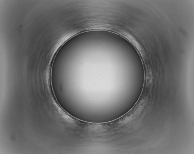 X0000111430909200907131220