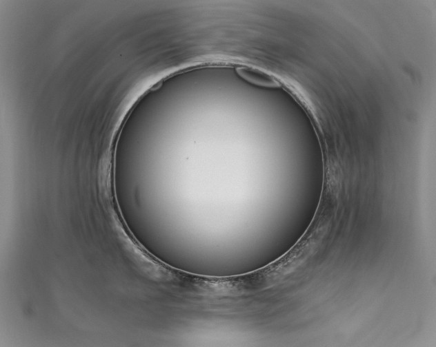 X0000111430911200907131220