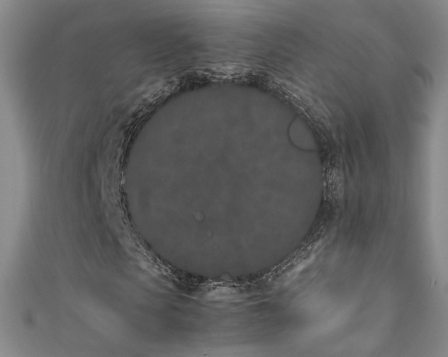 X0000111430913200907131219