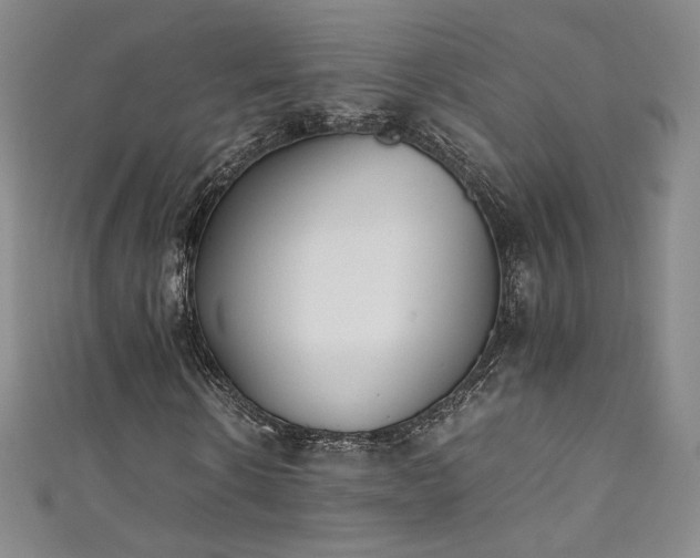 X0000111430914200907131219