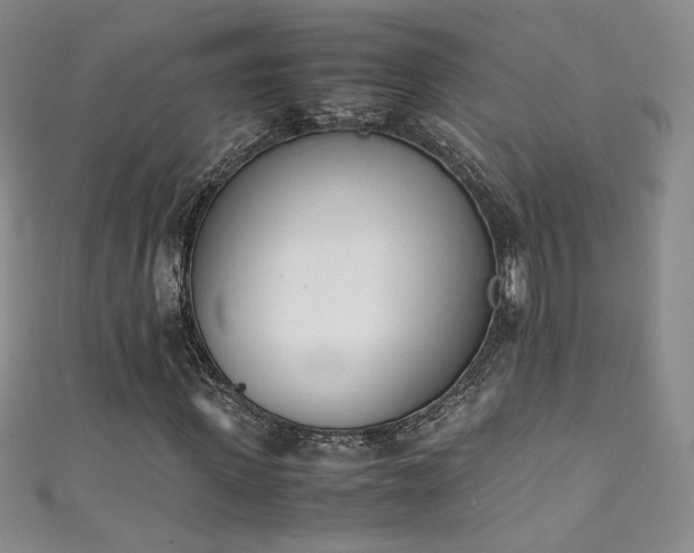 X0000111430915200907131219
