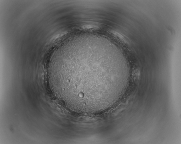 X0000111430917200907131219