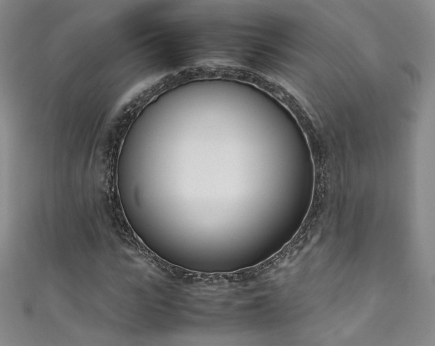 X0000111430919200907131219