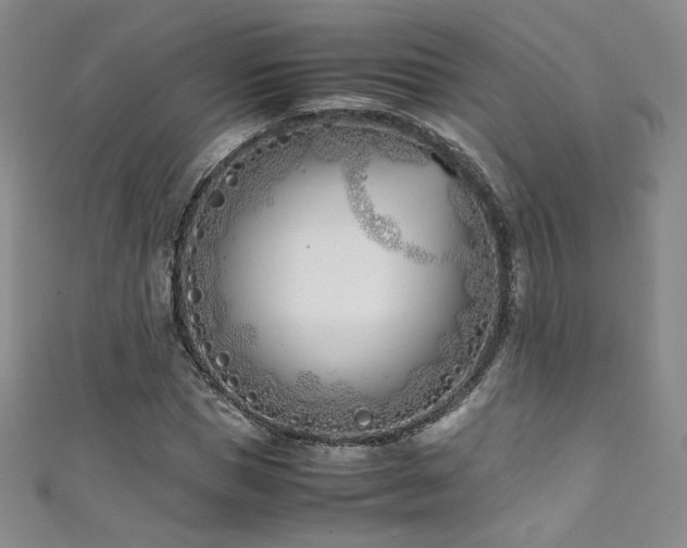 X0000111430921200907131220
