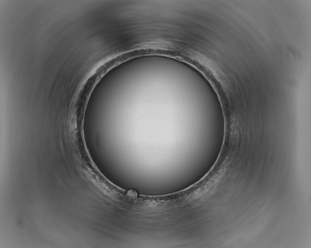 X0000111430923200907131220
