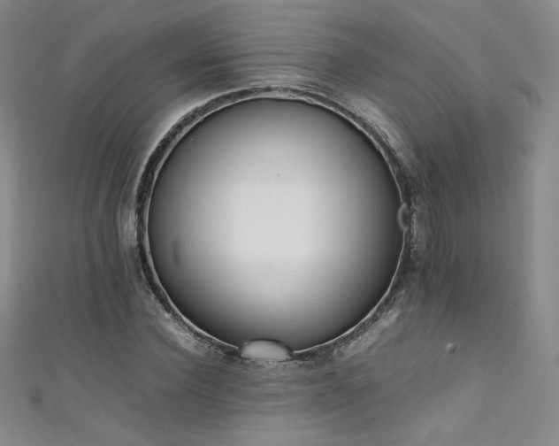X0000111430924200907131220