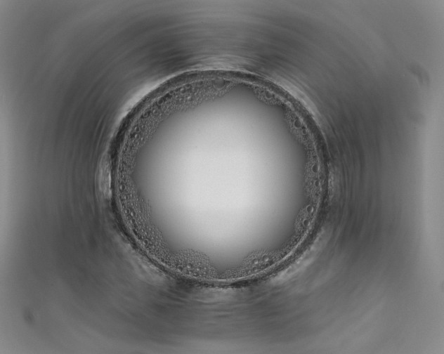 X0000111430925200907131220
