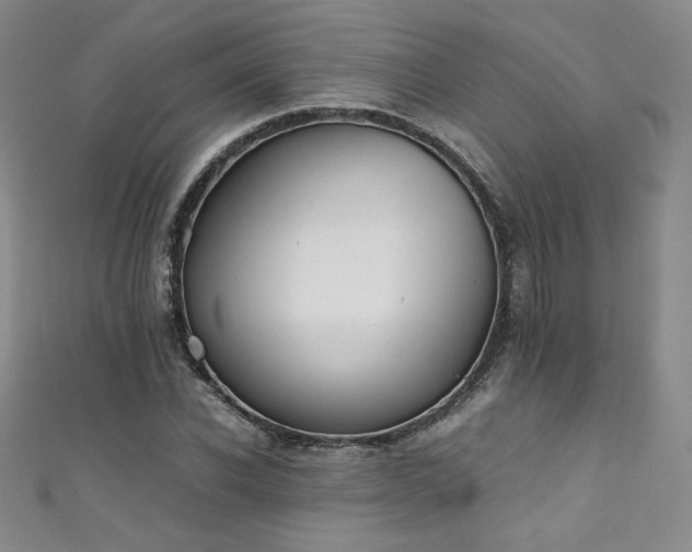 X0000111430926200907131220
