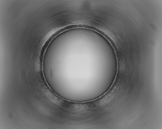 X0000111430927200907131220