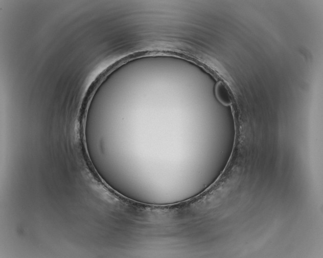 X0000111430928200907131220