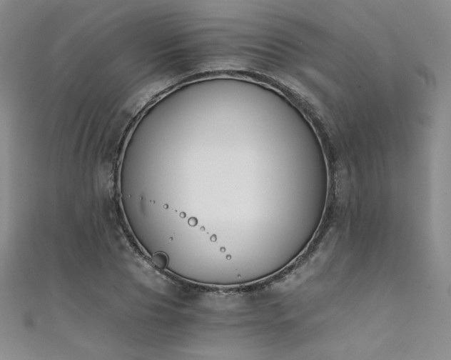 X0000111430929200907131220