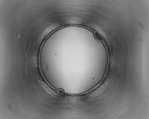 X0000111430930200907131220