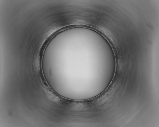 X0000111430931200907131220