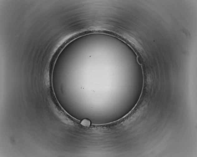 X0000111430934200907131220