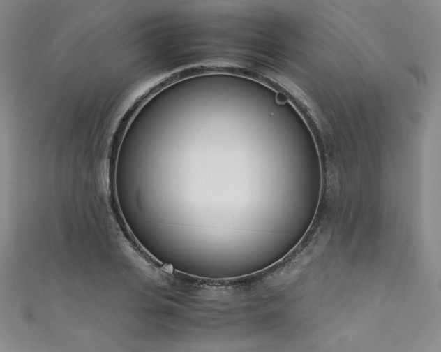 X0000111430935200907131220
