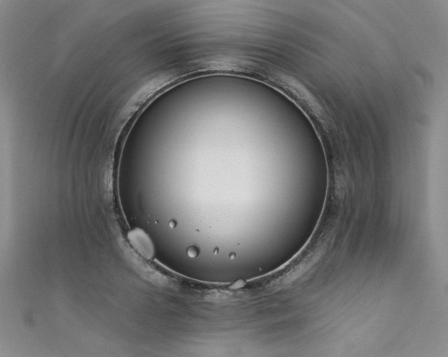 X0000111430938200907131220