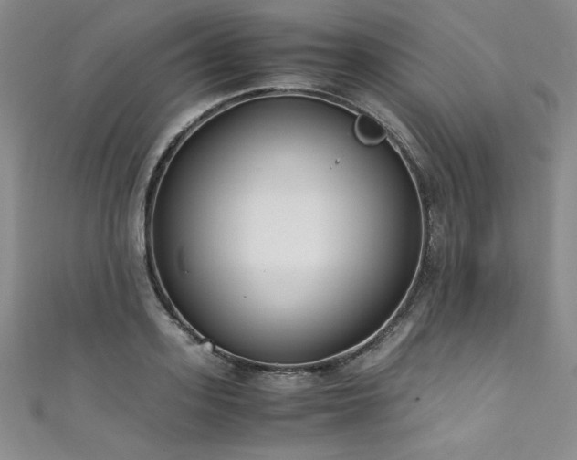 X0000111430939200907131220