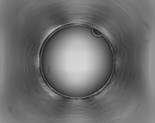 X0000111430940200907131220