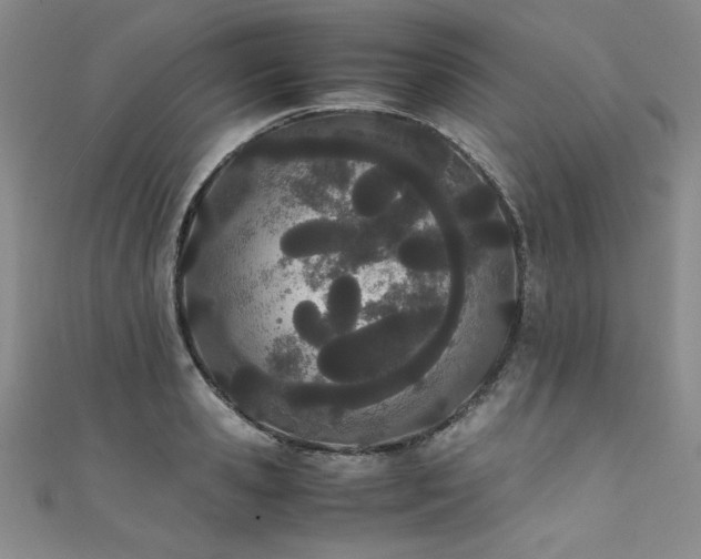 X0000111430941200907131220