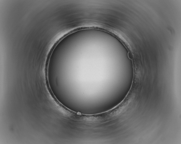 X0000111430943200907131220