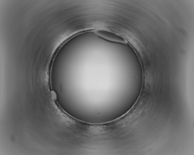 X0000111430944200907131220