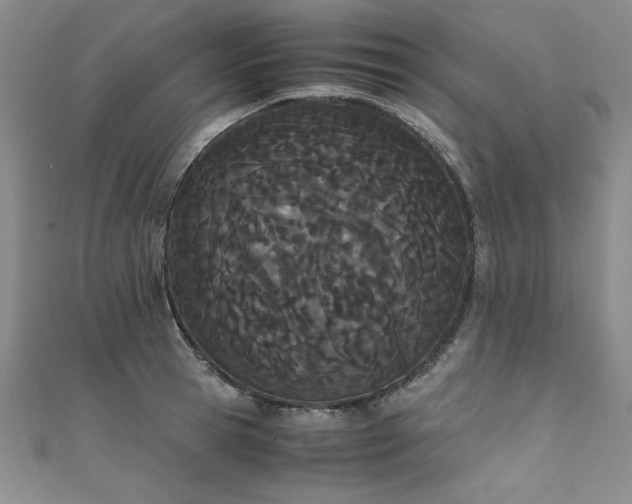 X0000111430945200907131220