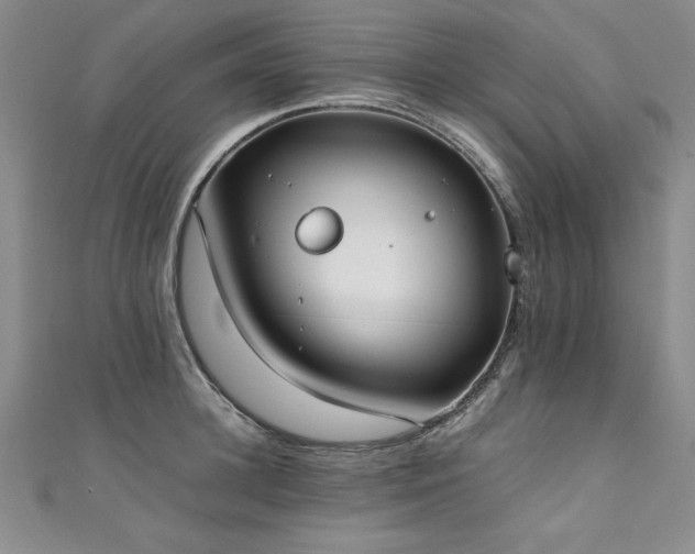 X0000111430948200907131220