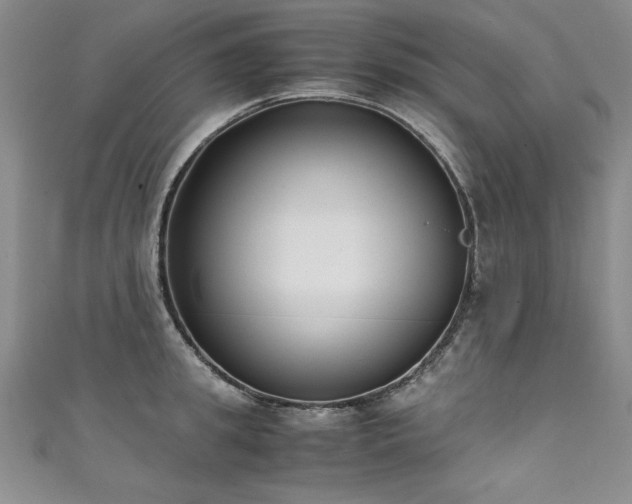 X0000111430949200907131220