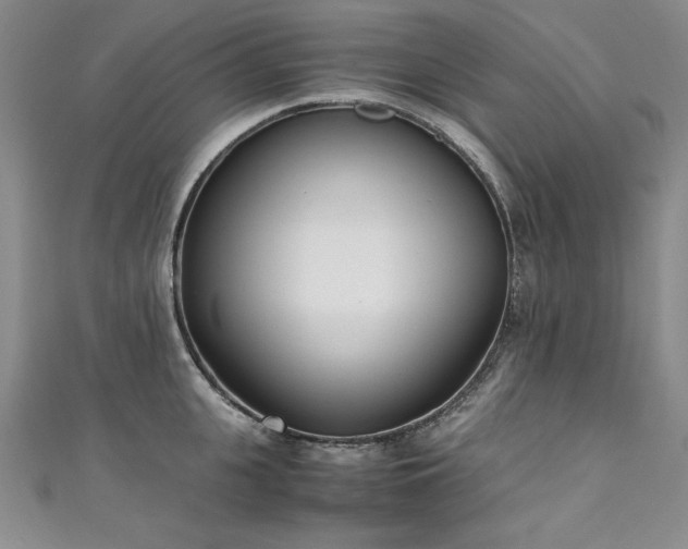 X0000111430951200907131220