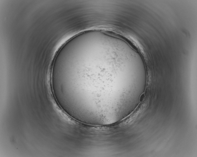 X0000111430952200907131220