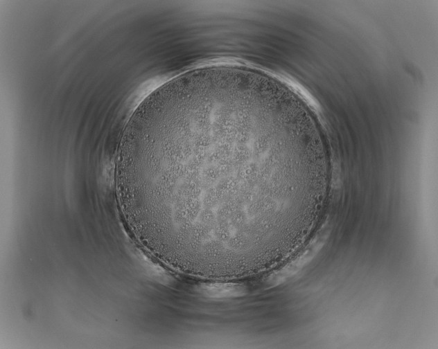 X0000111430953200907131220
