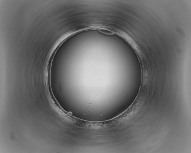 X0000111430955200907131220