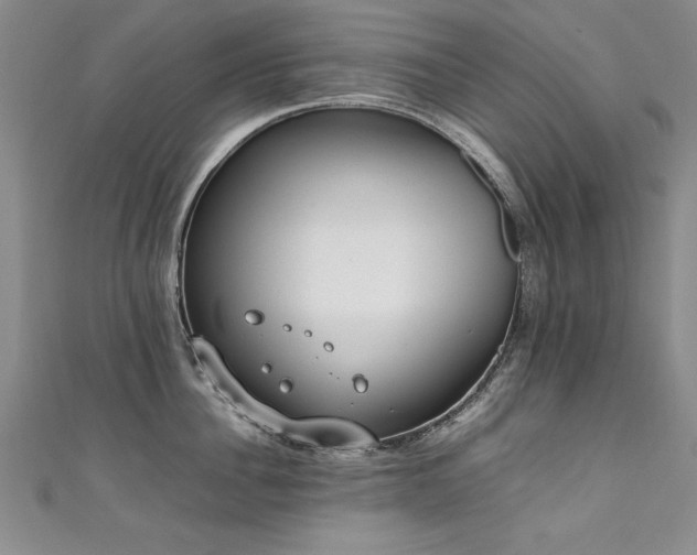 X0000111430956200907131220