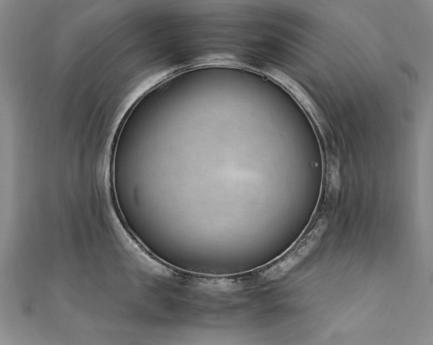 X0000111430957200907131220