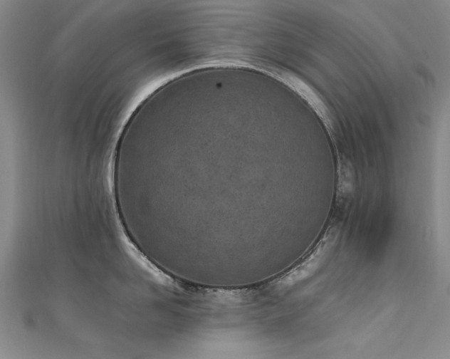 X0000111430958200907131220