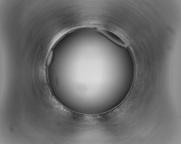 X0000111430960200907131220