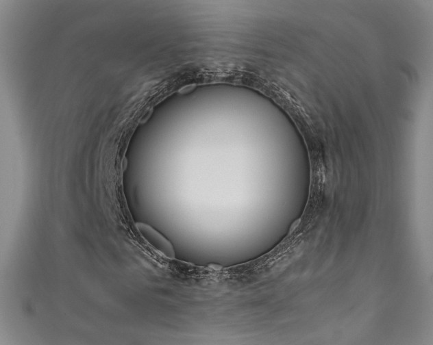 X0000111430961200907131219