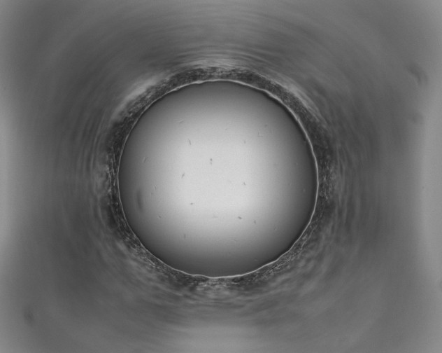 X0000111430967200907131219