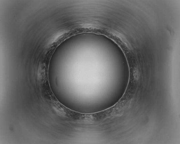 X0000111430968200907131219