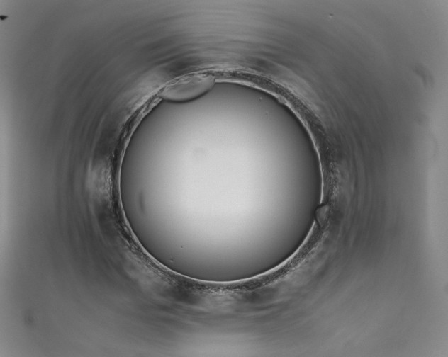 X0000111430969200907131219