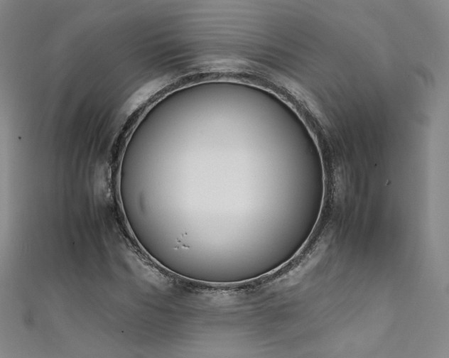 X0000111430970200907131219
