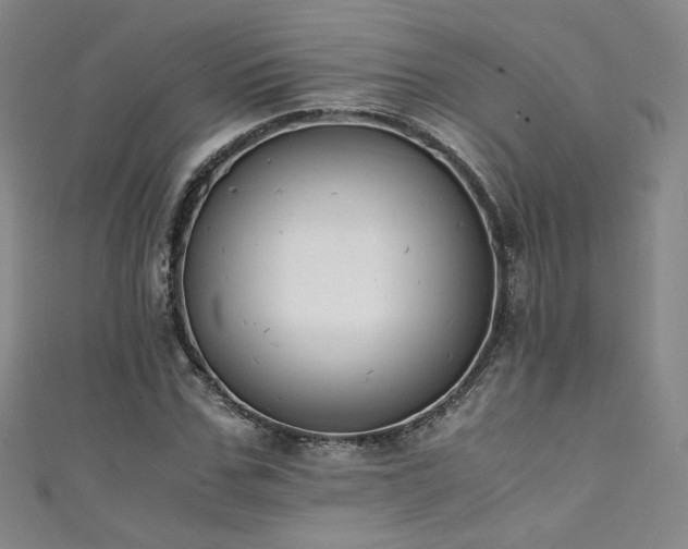 X0000111430971200907131219