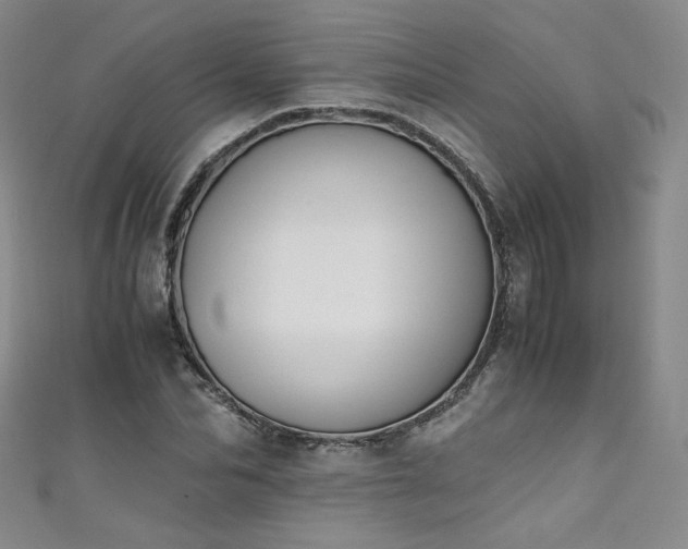 X0000111430974200907131219
