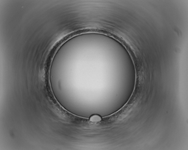X0000111430975200907131219