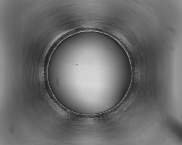 X0000111430976200907131219