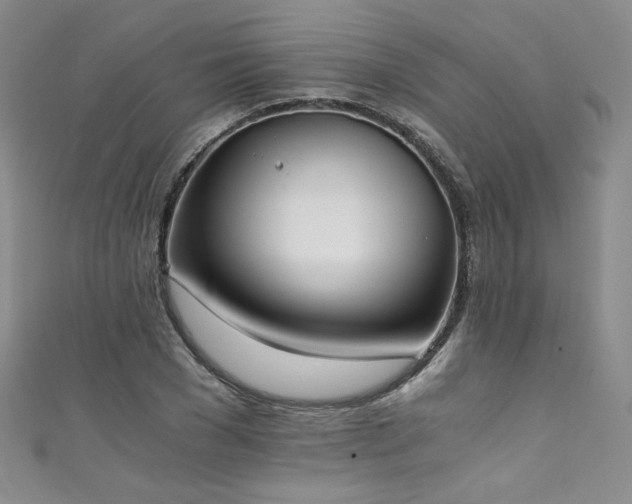 X0000111430977200907131219