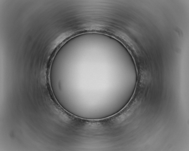 X0000111430978200907131219