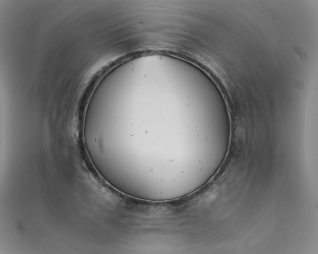 X0000111430979200907131219
