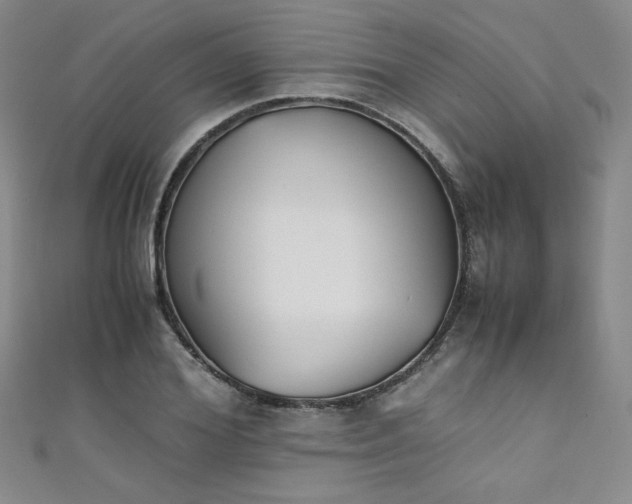 X0000111430980200907131219